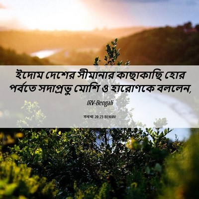 Picture 06 - গননা 20:23 BENIRV - ইদোম দেশের - Bible Verse Picture