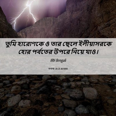 Picture 06 - গননা 20:25 BENIRV - তুমি হারোণকে ও তার - Bible Verse Picture