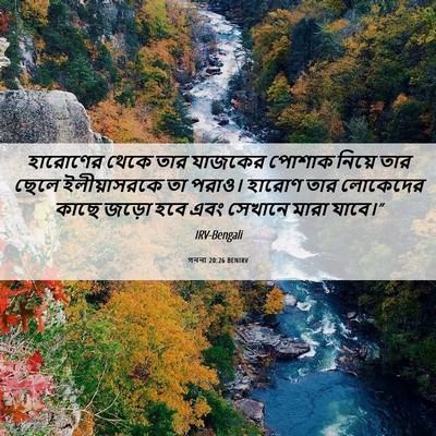 Picture 06 - গননা 20:26 BENIRV - হারোণের থেকে তার - Bible Verse Picture