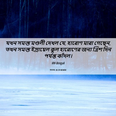 Picture 06 - গননা 20:29 BENIRV - যখন সমস্ত মণ্ডলী - Bible Verse Picture