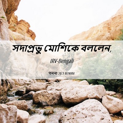 Picture 06 - গননা 20:7 BENIRV - সদাপ্রভু মোশিকে - Bible Verse Picture