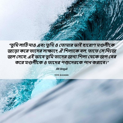 Picture 06 - গননা 20:8 BENIRV - “তুমি লাঠি নাও এবং - Bible Verse Picture
