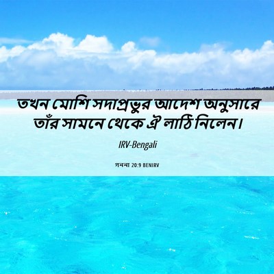 Picture 06 - গননা 20:9 BENIRV - তখন মোশি - Bible Verse Picture