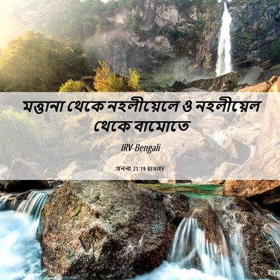 Picture 06 - গননা 21:19 BENIRV - মত্তানা থেকে - Bible Verse Picture