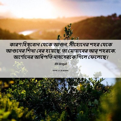 Picture 06 - গননা 21:28 BENIRV - কারণ হিষ্‌বোন - Bible Verse Picture