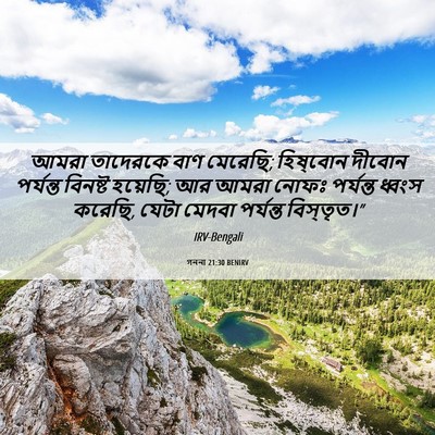 Picture 06 - গননা 21:30 BENIRV - আমরা তাদেরকে বাণ - Bible Verse Picture