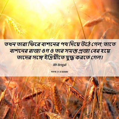 Picture 06 - গননা 21:33 BENIRV - তখন তারা ফিরে - Bible Verse Picture