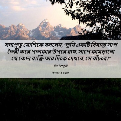 Picture 06 - গননা 21:8 BENIRV - সদাপ্রভু মোশিকে - Bible Verse Picture