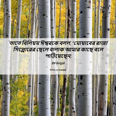 Picture 06 - গননা 22:10 BENIRV - তাতে বিলিয়ম - Bible Verse Picture