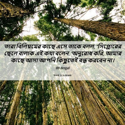 Picture 06 - গননা 22:16 BENIRV - তারা বিলিয়মের - Bible Verse Picture