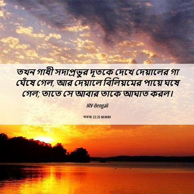 Picture 06 - গননা 22:25 BENIRV - তখন গাধী - Bible Verse Picture