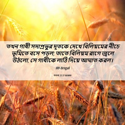 Picture 06 - গননা 22:27 BENIRV - তখন গাধী - Bible Verse Picture