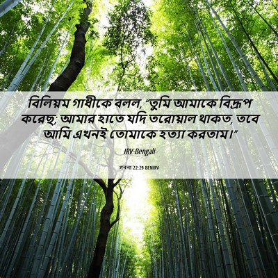 Picture 06 - গননা 22:29 BENIRV - বিলিয়ম গাধীকে - Bible Verse Picture