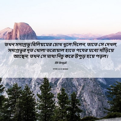 Picture 06 - গননা 22:31 BENIRV - তখন সদাপ্রভু - Bible Verse Picture