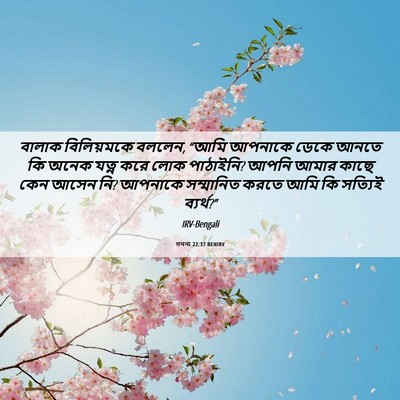 Picture 06 - গননা 22:37 BENIRV - বালাক বিলিয়মকে - Bible Verse Picture