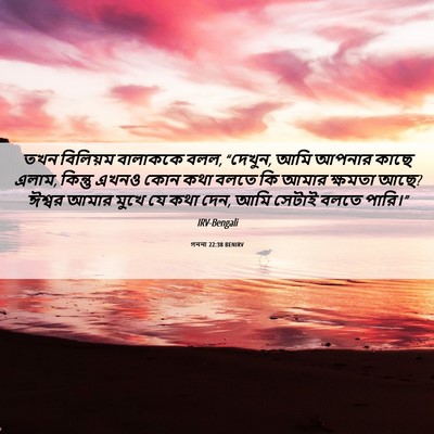 Picture 06 - গননা 22:38 BENIRV - তখন বিলিয়ম - Bible Verse Picture