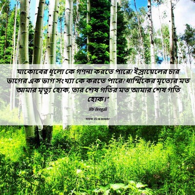 Picture 06 - গননা 23:10 BENIRV - যাকোবের ধূলো কে - Bible Verse Picture