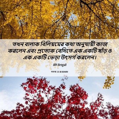 Picture 06 - গননা 23:30 BENIRV - তখন বালাক - Bible Verse Picture