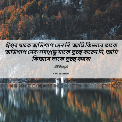 Picture 06 - গননা 23:8 BENIRV - ঈশ্বর যাকে অভিশাপ - Bible Verse Picture