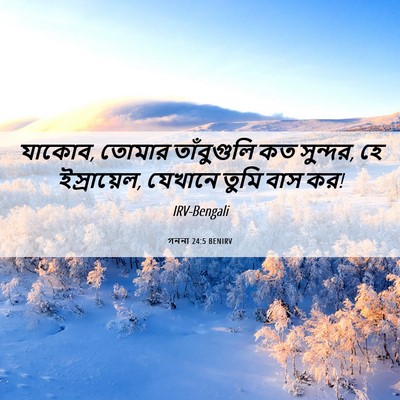 Picture 06 - গননা 24:5 BENIRV - যাকোব, তোমার - Bible Verse Picture