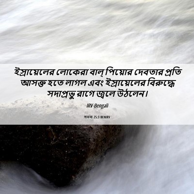 Picture 06 - গননা 25:3 BENIRV - ইস্রায়েলের - Bible Verse Picture
