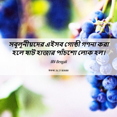 Picture 06 - গননা 26:27 BENIRV - সবূলূনীয়দের এইসব - Bible Verse Picture