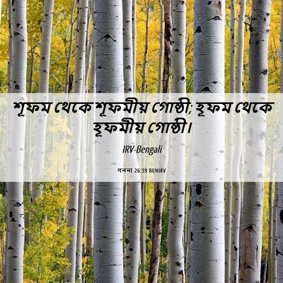 Picture 06 - গননা 26:39 BENIRV - শূফম থেকে শূফমীয় - Bible Verse Picture