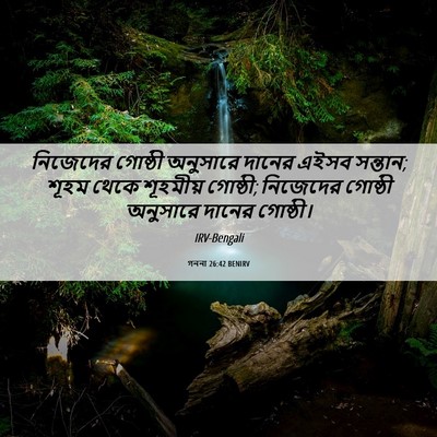 Picture 06 - গননা 26:42 BENIRV - নিজেদের গোষ্ঠী - Bible Verse Picture