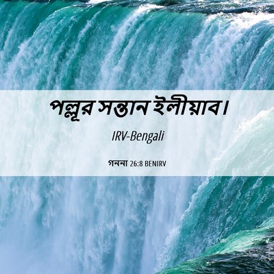 Picture 06 - গননা 26:8 BENIRV - পল্লূর সন্তান - Bible Verse Picture