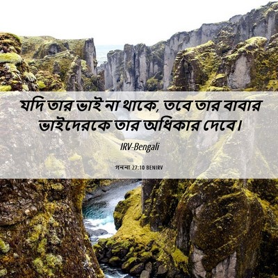 Picture 06 - গননা 27:10 BENIRV - যদি তার ভাই না - Bible Verse Picture