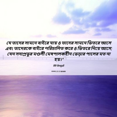 Picture 06 - গননা 27:17 BENIRV - যে তাদের সামনে - Bible Verse Picture