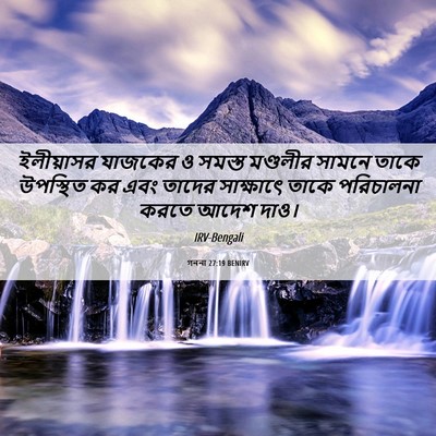 Picture 06 - গননা 27:19 BENIRV - ইলীয়াসর যাজকের ও - Bible Verse Picture