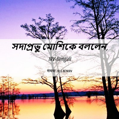 Picture 06 - গননা 28:1 BENIRV - সদাপ্রভু মোশিকে - Bible Verse Picture