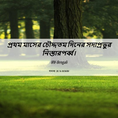 Picture 06 - গননা 28:16 BENIRV - প্রথম মাসের - Bible Verse Picture