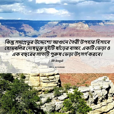 Picture 06 - গননা 28:19 BENIRV - কিন্তু সদাপ্রভুর - Bible Verse Picture
