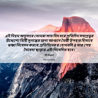Picture 06 - গননা 28:24 BENIRV - এই নিয়ম অনুসারে - Bible Verse Picture