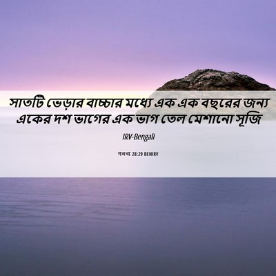 Picture 06 - গননা 28:29 BENIRV - সাতটি ভেড়ার - Bible Verse Picture