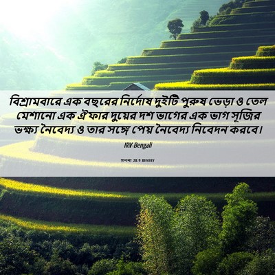 Picture 06 - গননা 28:9 BENIRV - বিশ্রামবারে এক - Bible Verse Picture