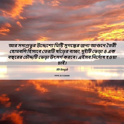 Picture 06 - গননা 29:13 BENIRV - আর সদাপ্রভুর - Bible Verse Picture