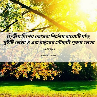 Picture 06 - গননা 29:17 BENIRV - দ্বিতীয় দিনের - Bible Verse Picture