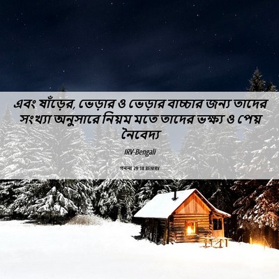 Picture 06 - গননা 29:18 BENIRV - এবং ষাঁড়ের, - Bible Verse Picture