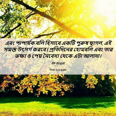 Picture 06 - গননা 29:19 BENIRV - এবং পাপার্থক বলি - Bible Verse Picture