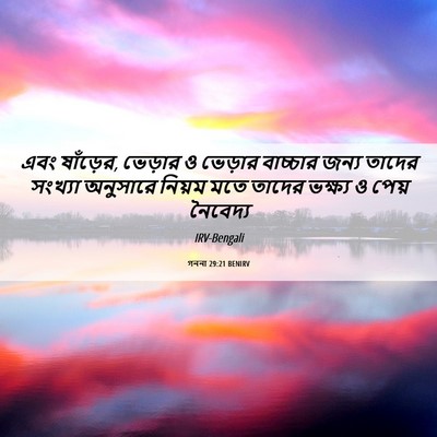 Picture 06 - গননা 29:21 BENIRV - এবং ষাঁড়ের, - Bible Verse Picture