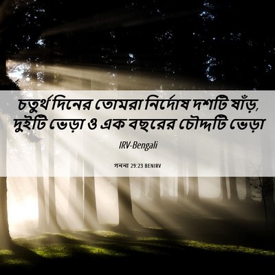 Picture 06 - গননা 29:23 BENIRV - চতুর্থ দিনের - Bible Verse Picture