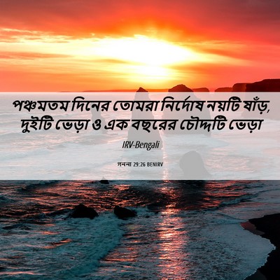 Picture 06 - গননা 29:26 BENIRV - পঞ্চমতম দিনের - Bible Verse Picture