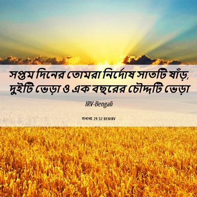 Picture 06 - গননা 29:32 BENIRV - সপ্তম দিনের তোমরা - Bible Verse Picture