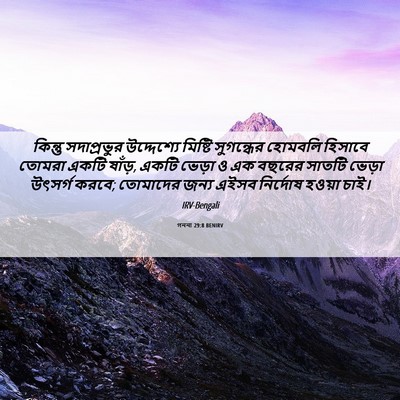 Picture 06 - গননা 29:8 BENIRV - কিন্তু সদাপ্রভুর - Bible Verse Picture