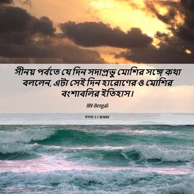 Picture 06 - গননা 3:1 BENIRV - সীনয় পর্বতে যে - Bible Verse Picture