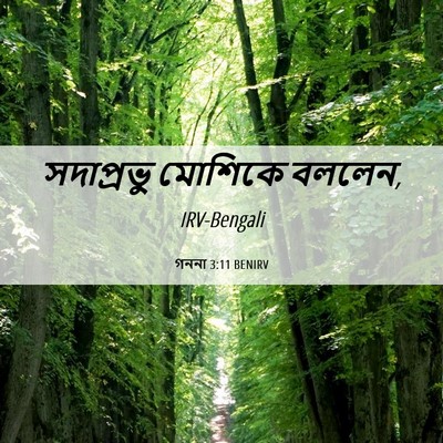 Picture 06 - গননা 3:11 BENIRV - সদাপ্রভু মোশিকে - Bible Verse Picture