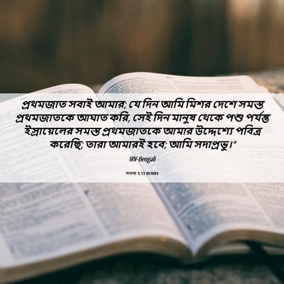 Picture 06 - গননা 3:13 BENIRV - প্রথমজাত সবাই - Bible Verse Picture